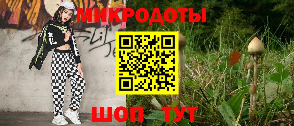 Канаш  где купить наркотик  Псилоцибиновые грибы Psilocybine cubensis  Вход с VPN  Галлюциногенные грибы Psilocybine cubensis 