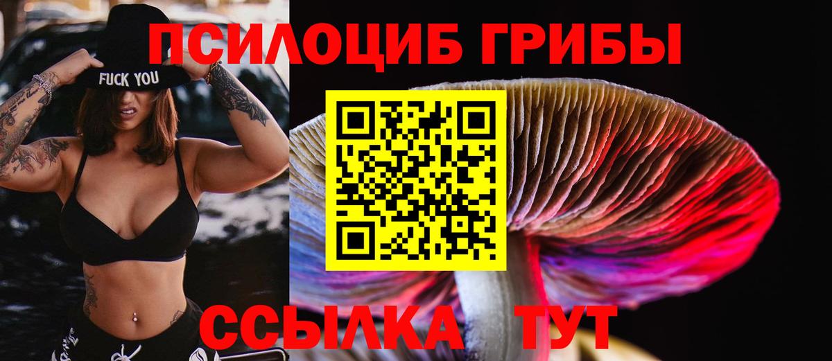 Галлюциногенные грибы Cubensis Канаш
